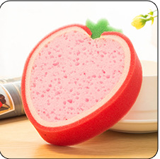 Fruit Pattern Sponge
